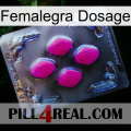 Femalegra Dosage 02